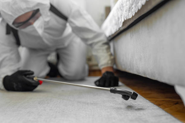 Professional Termite Control technician working in North New Hyde Park, NY