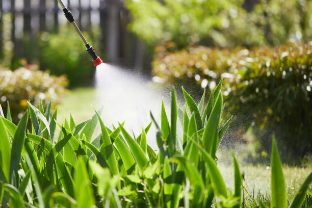24/7 Emergency Termite Control experts in North New Hyde Park, NY