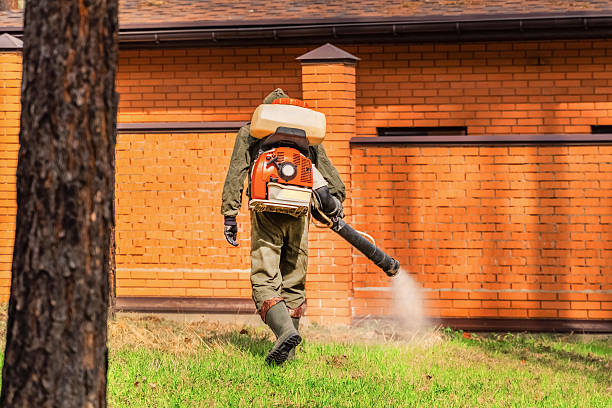 Trusted Termite Control service in North New Hyde Park, NY - Nex Pest Control